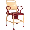 Кресло-стулья с санитарным оснащением